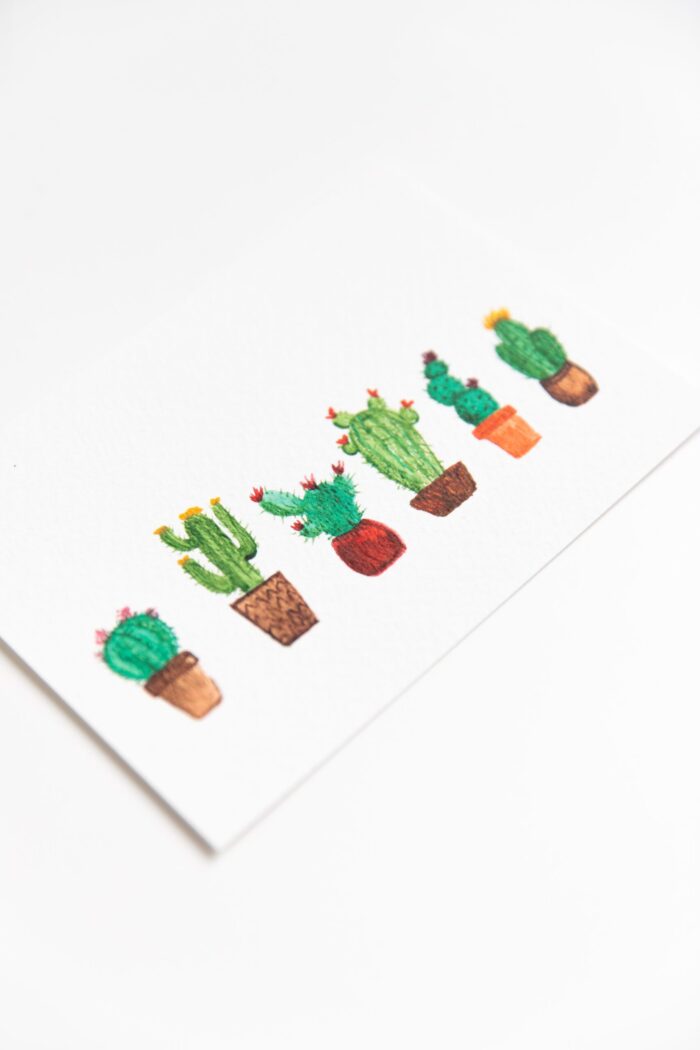 Ansichtkaart Cactussen