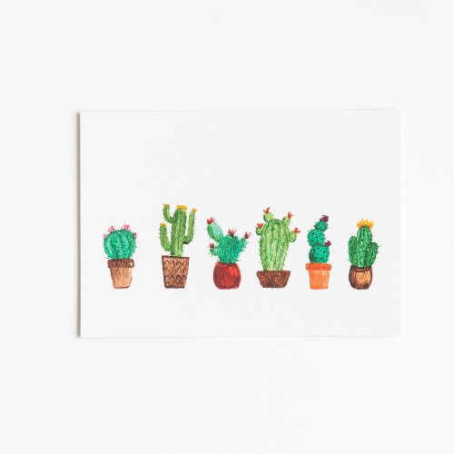 Ansichtkaart Cactussen